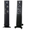 Напольная акустика RAIDHO ACOUSTICS TD2.2 Black