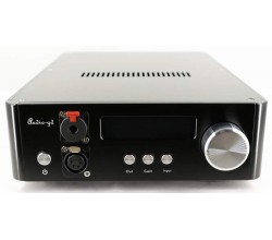 ЦАП  R2R 1 Audio-GB