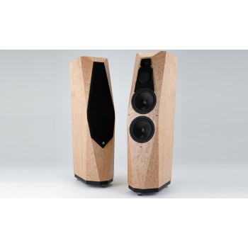 Avalon Acoustics Precision Monitor 3.2, напольная акустика (пара)
