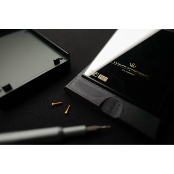 Luxury & Precision E7 AD1955 Audio Board, сменная аудиоплата