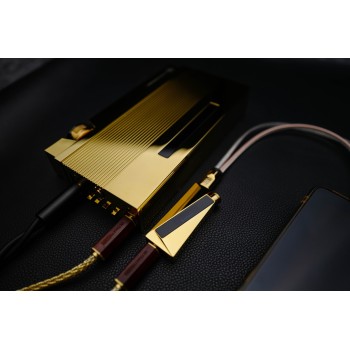 Luxury & Precision W4ACG, портативный usb цап и усилитель