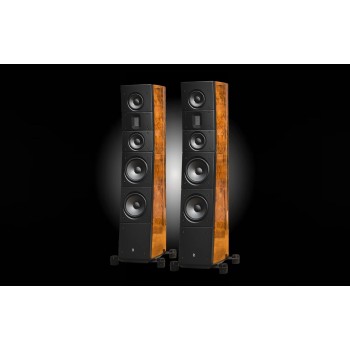 Raidho Acoustics TD3.8 Walnut Burl or personalized color напольная акустика
