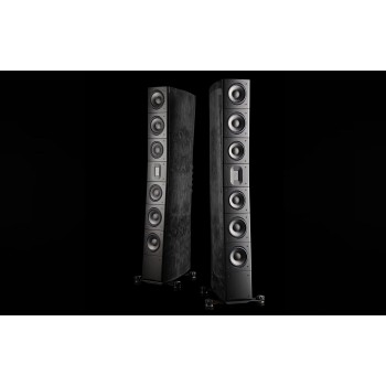 Raidho Acoustics TD4.2 Black - напольная акустика