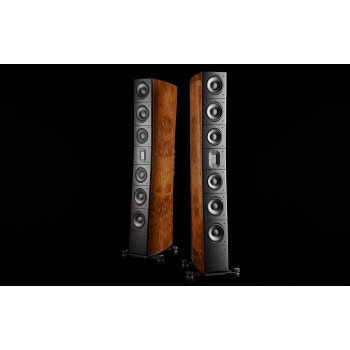 Raidho Acoustics TD4.2 Walnut Burl or personalized color напольная акустика