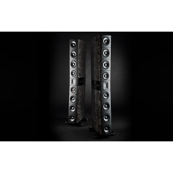 Raidho Acoustics TD4.8 Black - напольная акустика