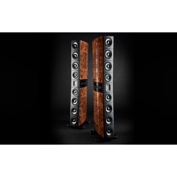 Raidho Acoustics TD4.8 Walnut Burl or personalized color напольная акустика