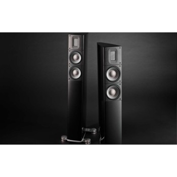 Raidho Acoustics X2t напольная акустика